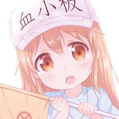 海豹06
